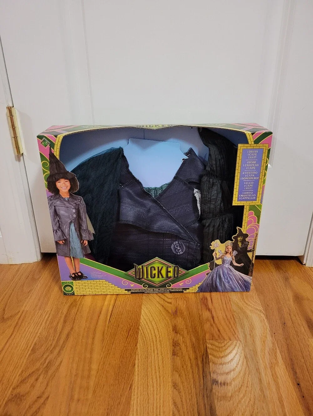 NIB Wicked Movie Deluxe Elphaba Outlaw Costume Dress Up Set Size 4-6X Halloween